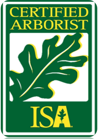 tree care Certified Arborist ISA Logo Certified Arborist ISA Logo
