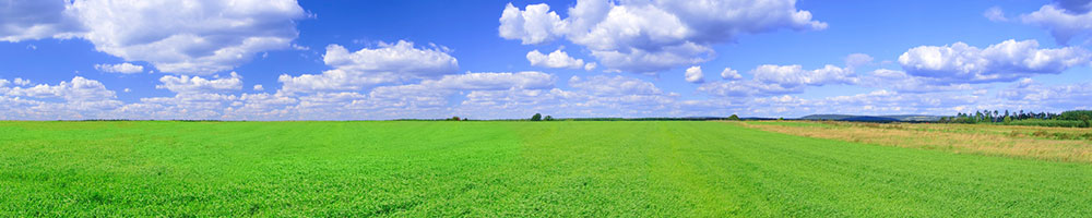 A large wide open green field