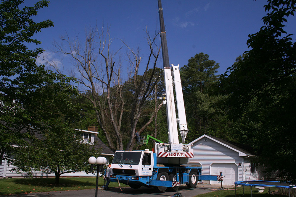 Sussex Tree Truck and Cherry Picker with trampoline on side