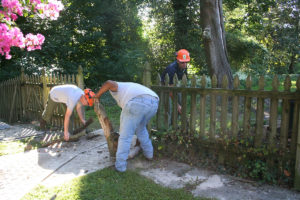 Sussex Trees & STI Landscaping hard at work