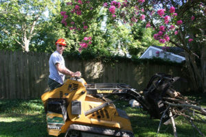 Sussex Tree Employee Disposing of Branches