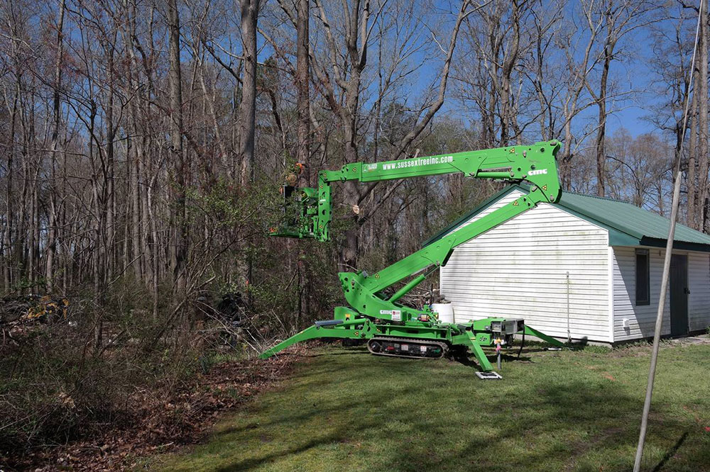 Eastern Shore Tree Services by Sussex Tree
