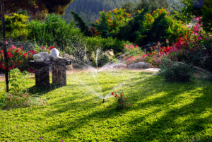 backyard garden being watered