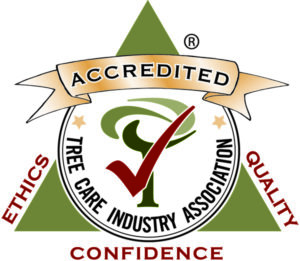TCIA Accredited Logo