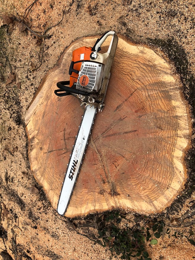 a chainsaw on top of a tree stump
