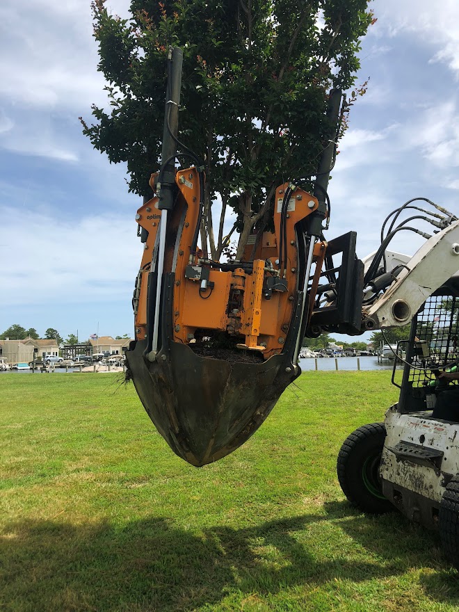 a tree is being worked on by a machine