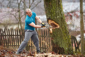 a man is using a chainsaw to cut down a tree dangerously